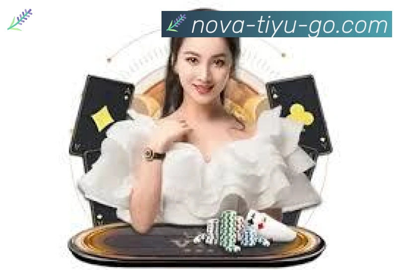 TK体育直播平台生态图
